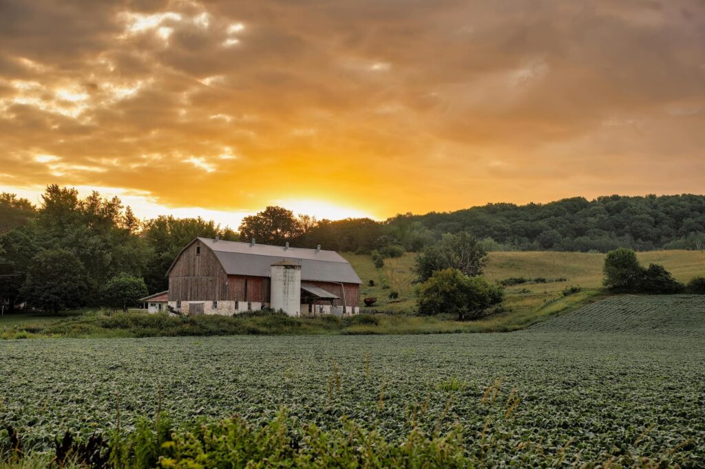 Unlock Your Barn’s Potential with a Class Q Development